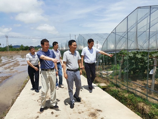 1591856588899953.jpg 2020060501.jpg