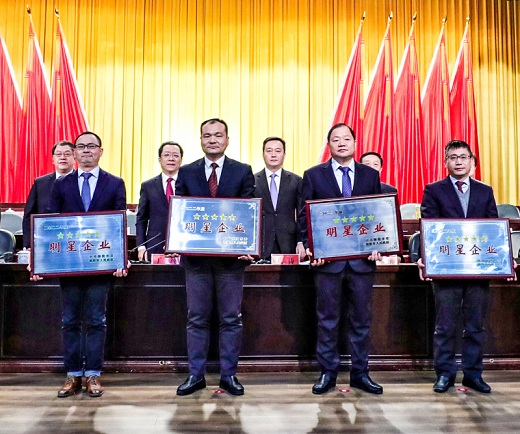 集團(tuán)公司獲市重大貢獻(xiàn)獎