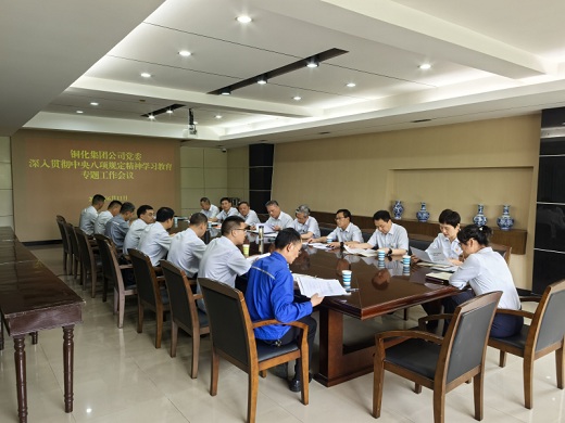 集團公司黨委召開專題工作會議對整治違規吃喝問題進行再強調再部署