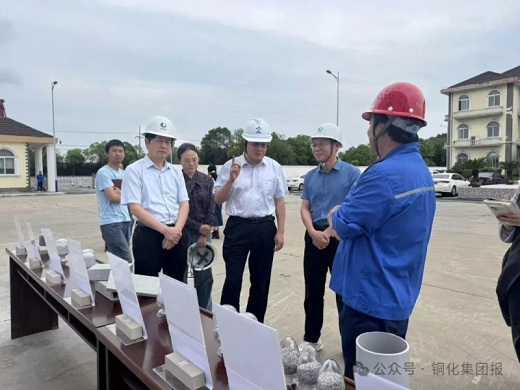 九三學社黃山市委員會走進六國化工綠陽建材開展專題調研