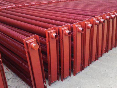 丁純率隊督查有機環保工作