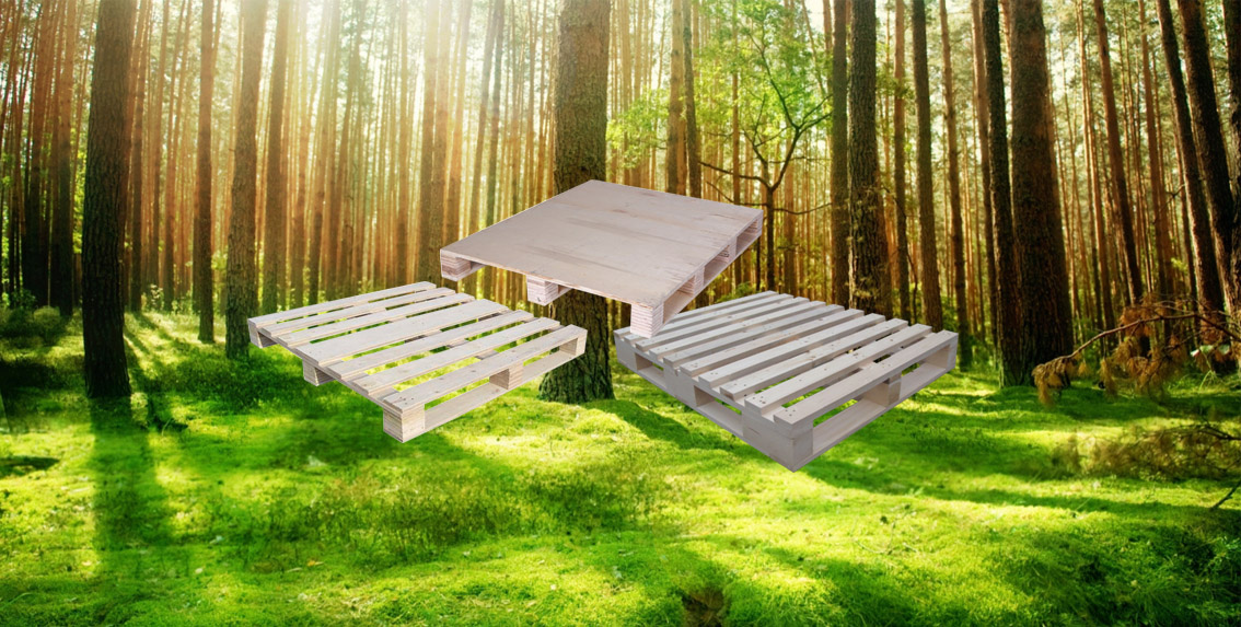 汪宜武來集團調研