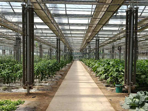 孔濤來(lái)集團(tuán)開(kāi)展“送清涼”活動(dòng)