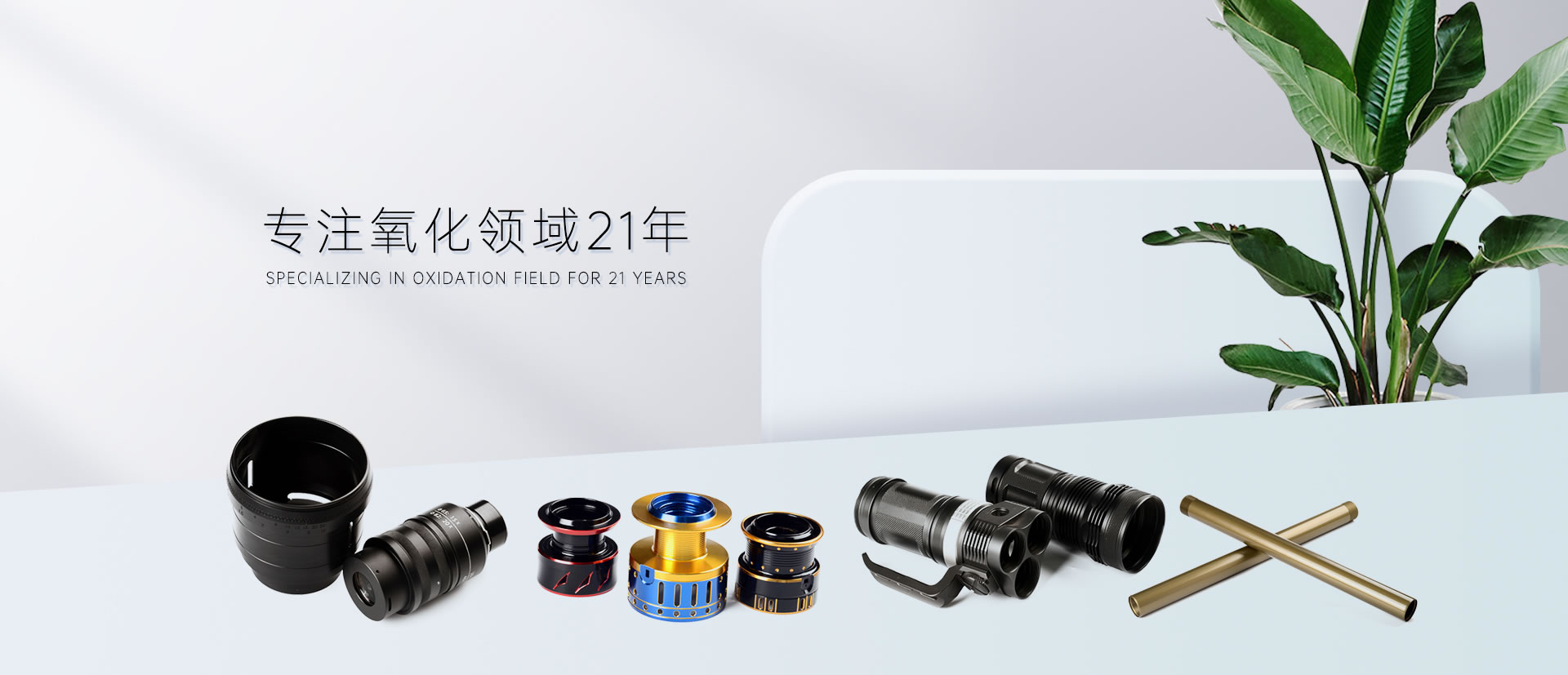 蕪湖市繁昌區領導來集團公司參觀考察